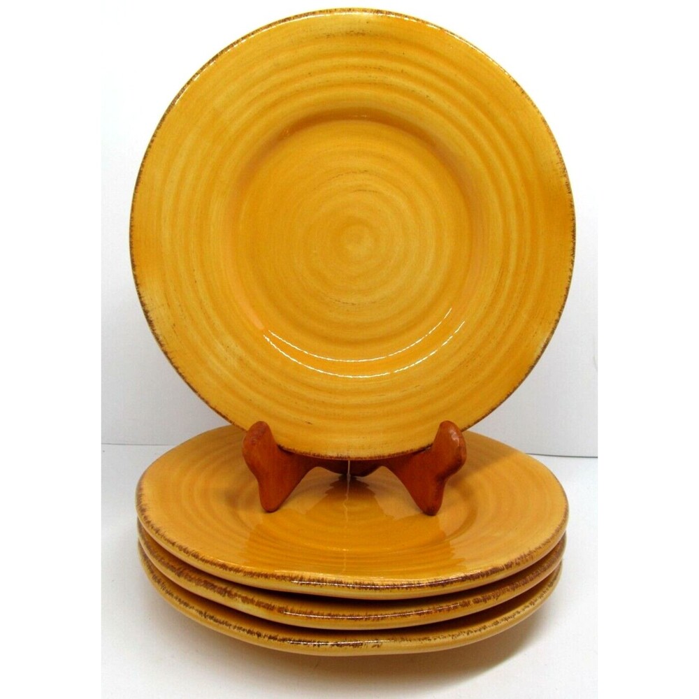 Tabletops Lifestyles Rustico Pumpkin Orange 8" Salad plate Bundle of 4